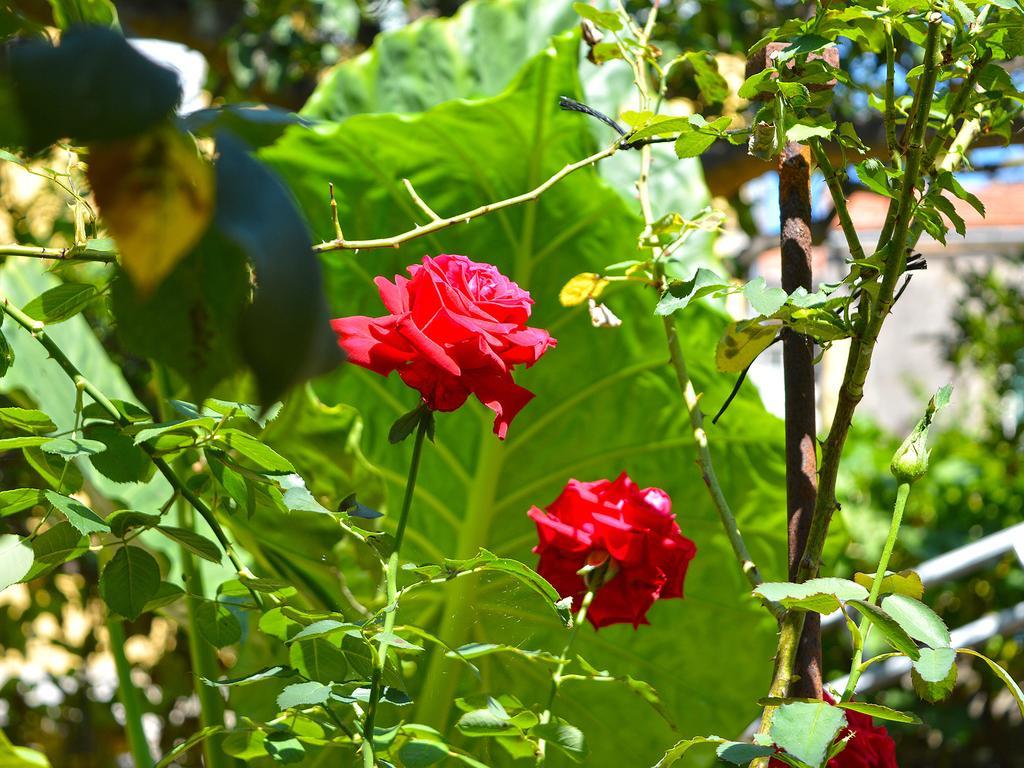 Hotel The Secret Garden Relais à Piano di Sorrento Extérieur photo